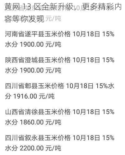 黄网 13 区全新升级，更多精彩内容等你发现