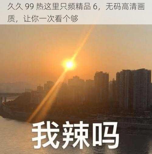 久久 99 热这里只频精品 6，无码高清画质，让你一次看个够