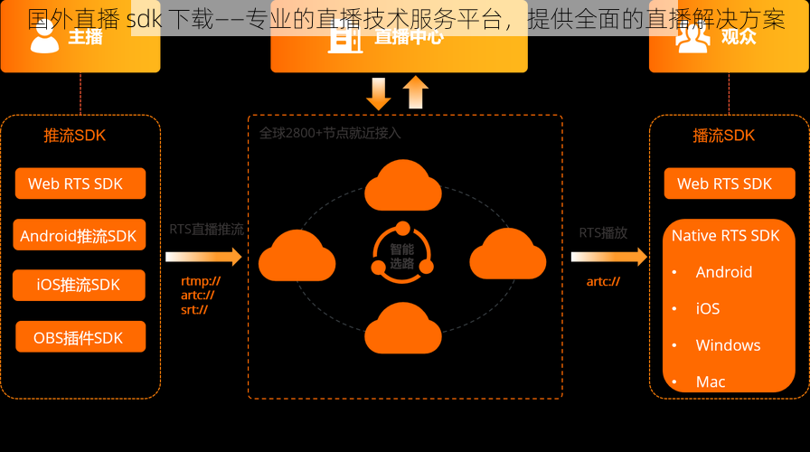 国外直播 sdk 下载——专业的直播技术服务平台，提供全面的直播解决方案