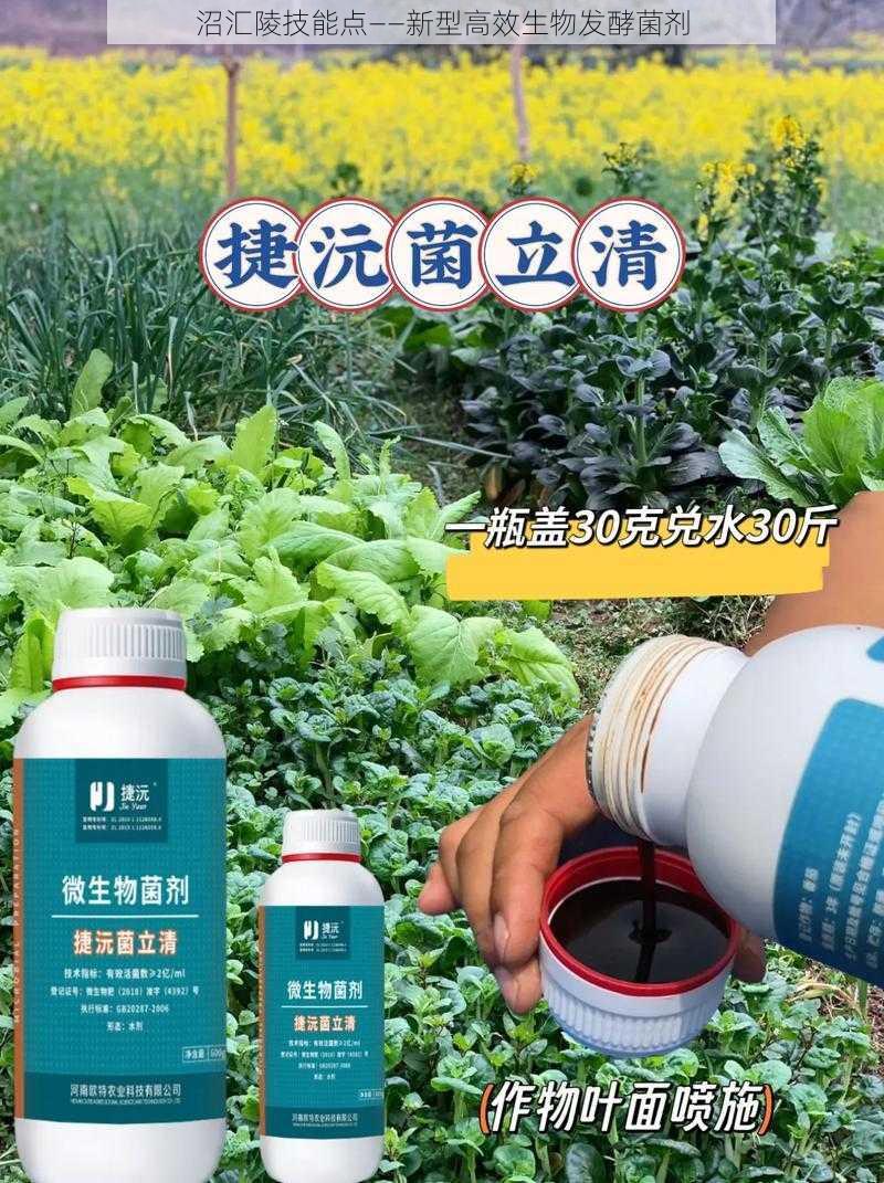 沼汇陵技能点——新型高效生物发酵菌剂