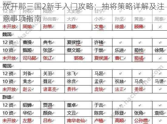 放开那三国2新手入门攻略：抽将策略详解及注意事项指南