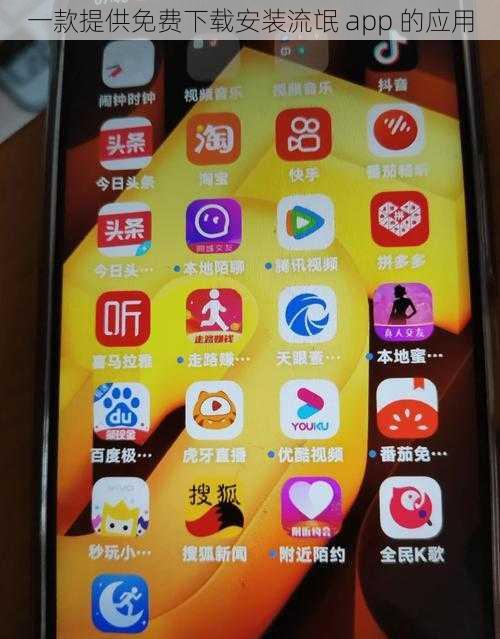 一款提供免费下载安装流氓 app 的应用