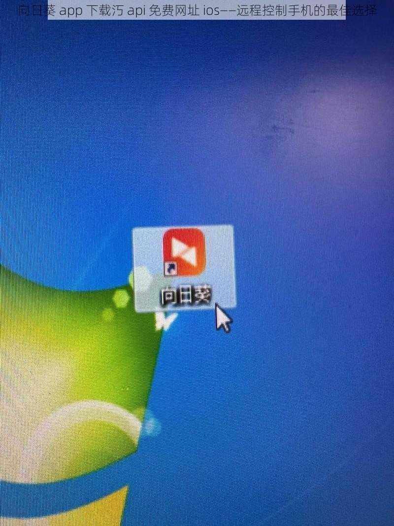 向日葵 app 下载汅 api 免费网址 ios——远程控制手机的最佳选择