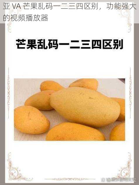亚 VA 芒果乱码一二三四区别,功能强大的视频播放器