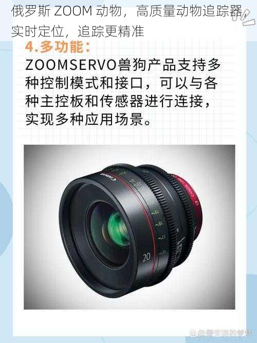 俄罗斯 ZOOM 动物，高质量动物追踪器，实时定位，追踪更精准