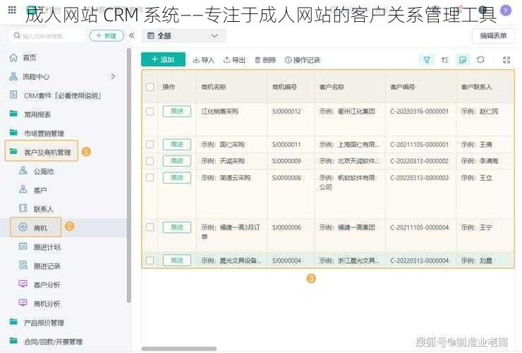 成人网站 CRM 系统——专注于成人网站的客户关系管理工具