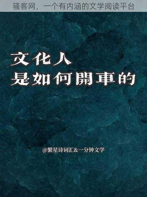 骚客网，一个有内涵的文学阅读平台