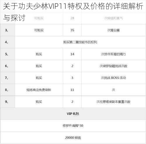 关于功夫少林VIP11特权及价格的详细解析与探讨