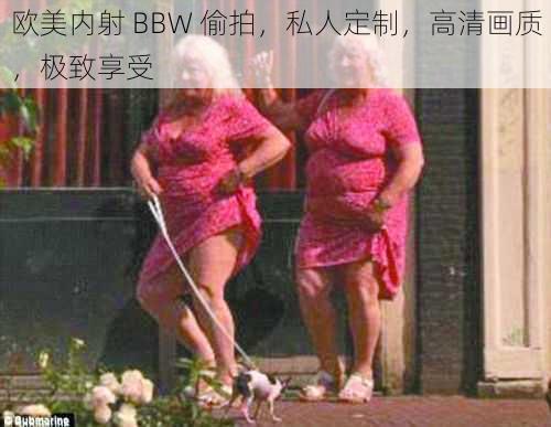 欧美内射 BBW 偷拍，私人定制，高清画质，极致享受