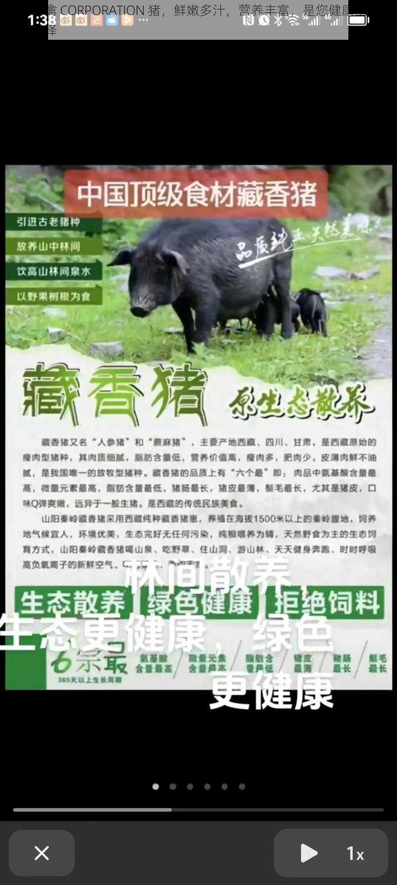 人马畜禽 CORPORATION 猪，鲜嫩多汁，营养丰富，是您健康生活的最佳选择