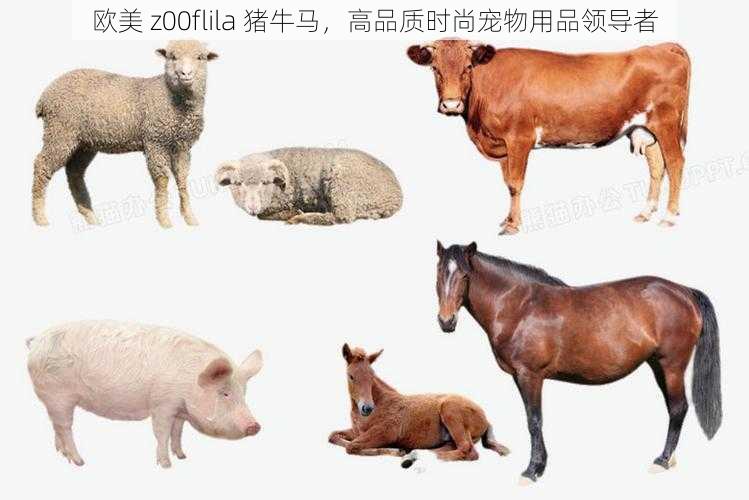 欧美 z00flila 猪牛马，高品质时尚宠物用品领导者