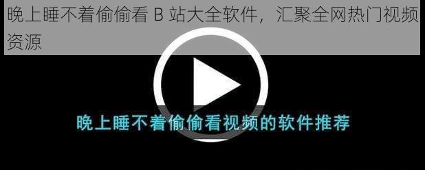 晚上睡不着偷偷看 B 站大全软件，汇聚全网热门视频资源