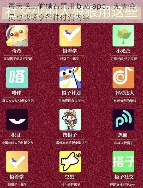 每天晚上偷偷看禁用 b 站 app，无需会员也能畅享各种付费内容