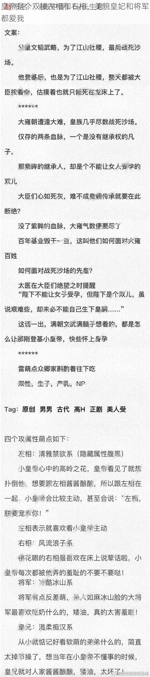 皇帝是个双被左相和右相，美貌皇妃和将军都爱我