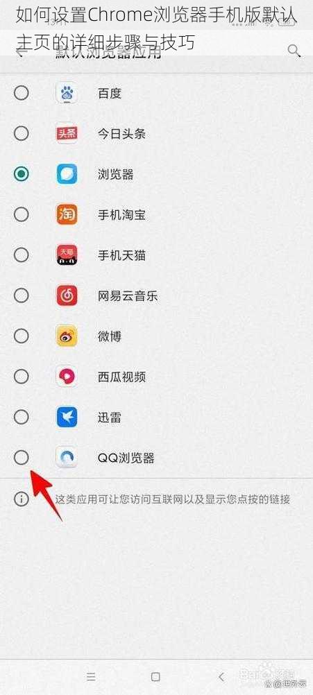 如何设置Chrome浏览器手机版默认主页的详细步骤与技巧