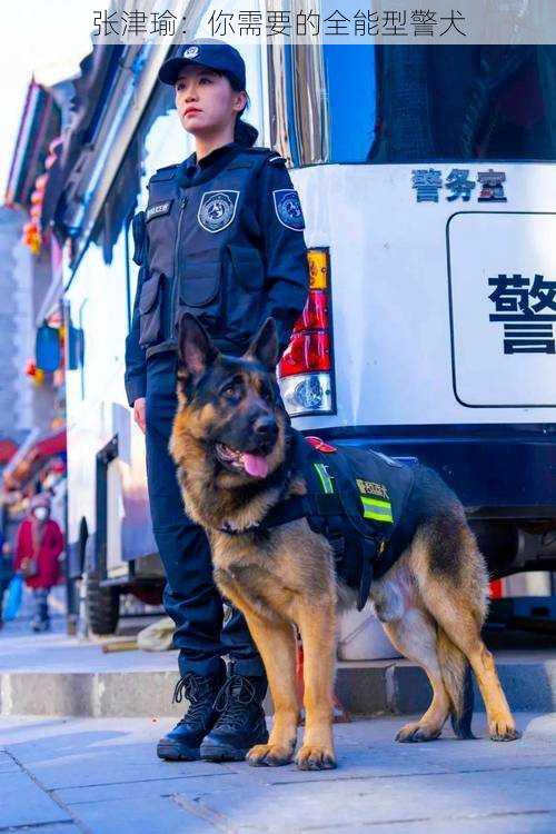 张津瑜：你需要的全能型警犬