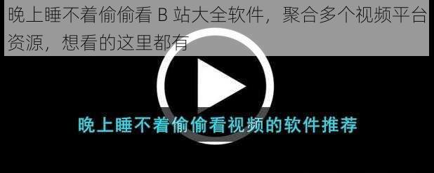 晚上睡不着偷偷看 B 站大全软件，聚合多个视频平台资源，想看的这里都有