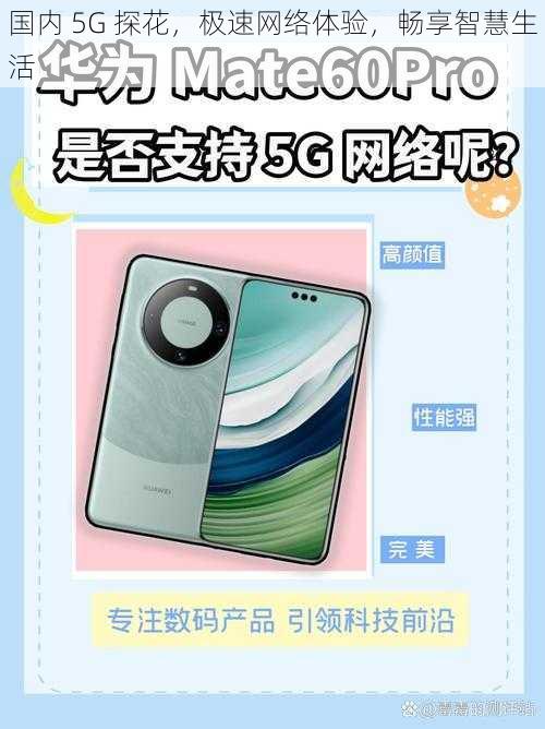 国内 5G 探花，极速网络体验，畅享智慧生活