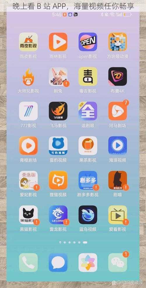 晚上看 B 站 APP，海量视频任你畅享