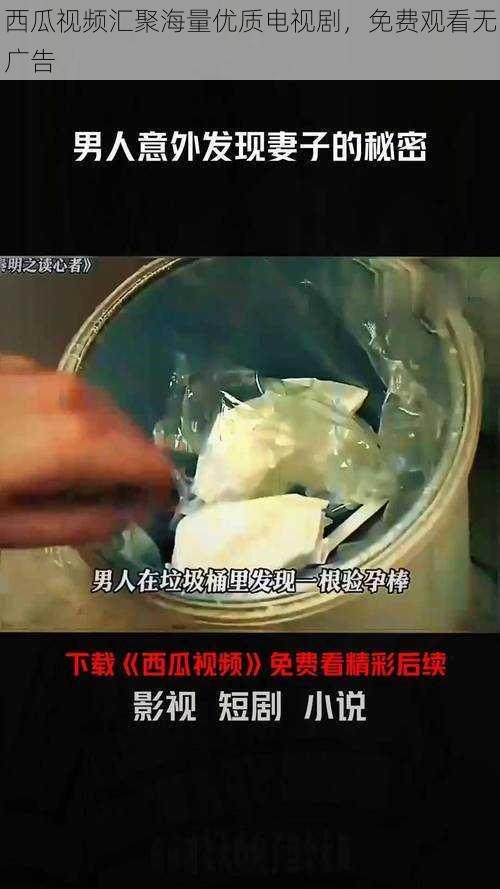 西瓜视频汇聚海量优质电视剧，免费观看无广告