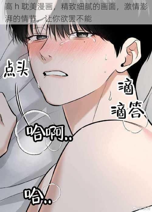 高 h 耽美漫画，精致细腻的画面，激情澎湃的情节，让你欲罢不能