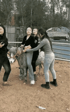 gif 动态图长 污连续的：释放你的激情