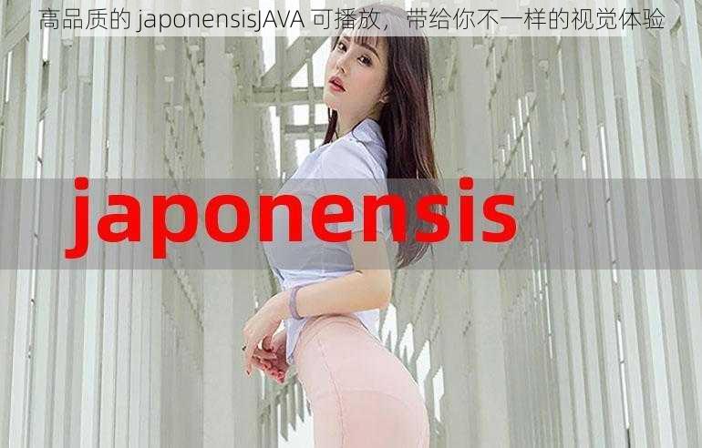 高品质的 japonensisJAVA 可播放，带给你不一样的视觉体验