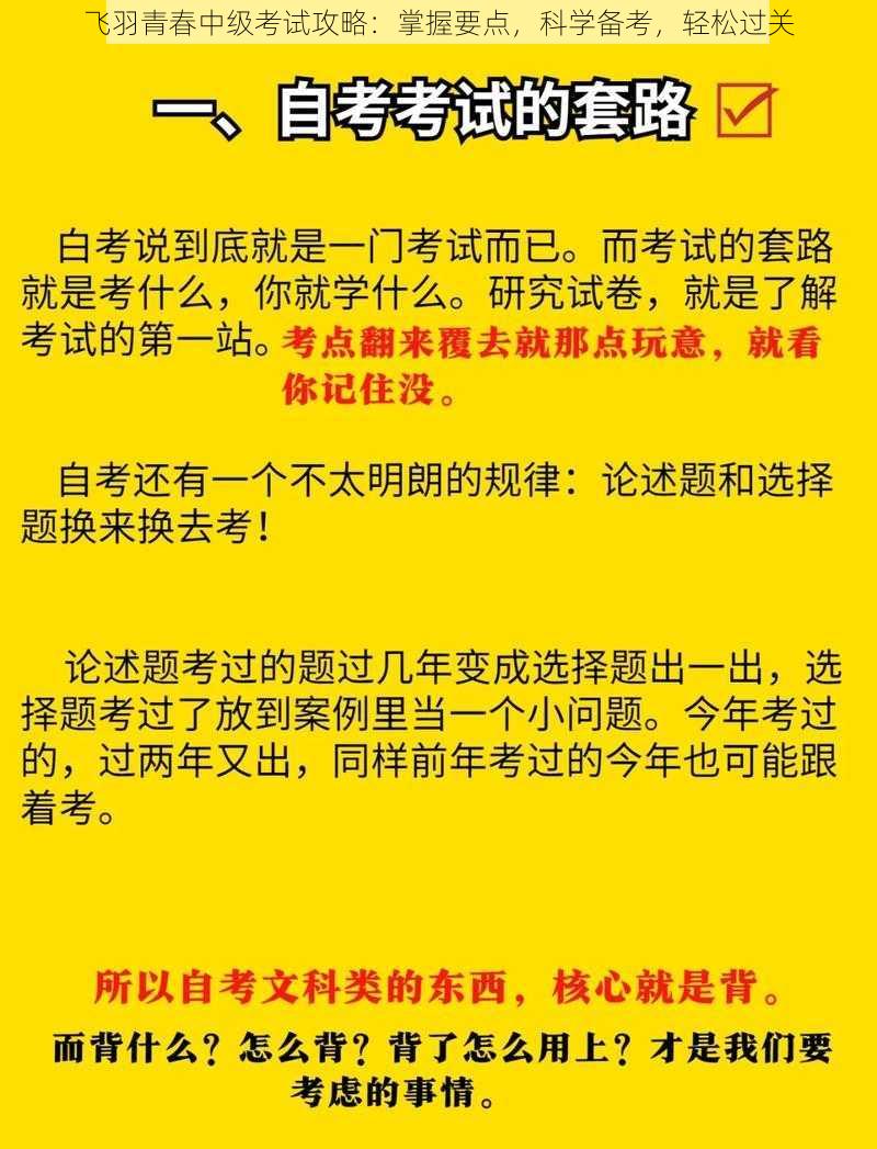 飞羽青春中级考试攻略：掌握要点，科学备考，轻松过关