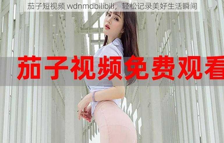 茄子短视频 wdnmdbilibili，轻松记录美好生活瞬间