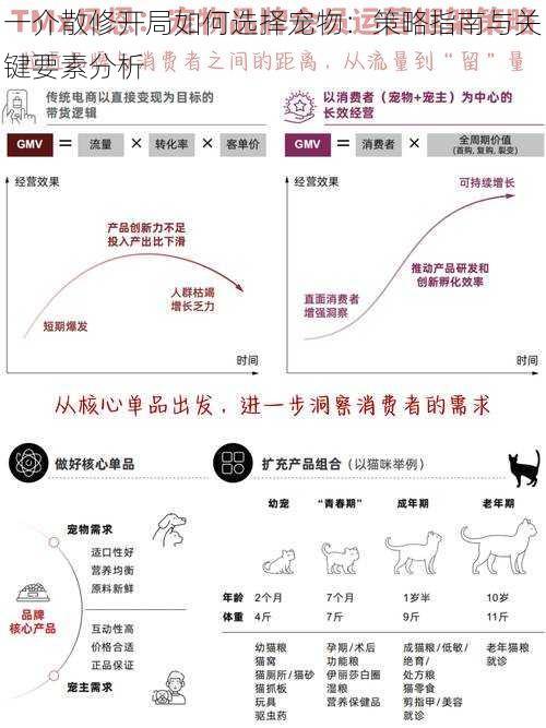 一介散修开局如何选择宠物：策略指南与关键要素分析