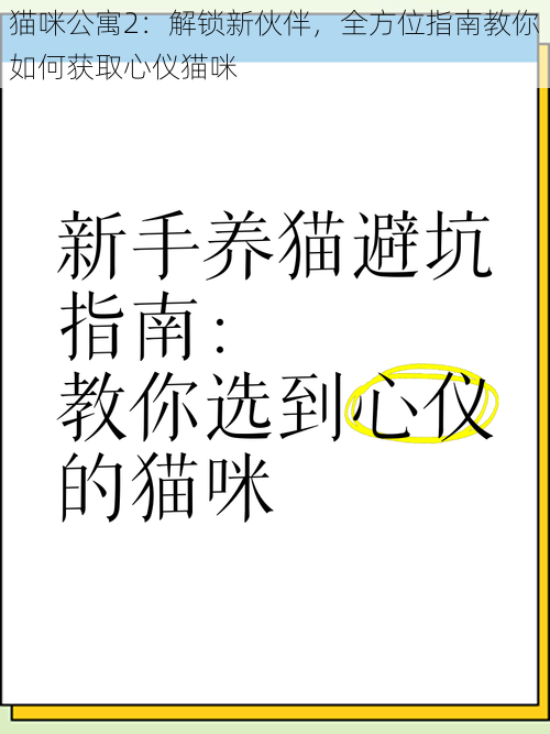 猫咪公寓2：解锁新伙伴，全方位指南教你如何获取心仪猫咪