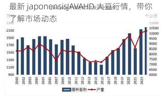 最新 japonensisJAVAHD 大豆行情，带你了解市场动态