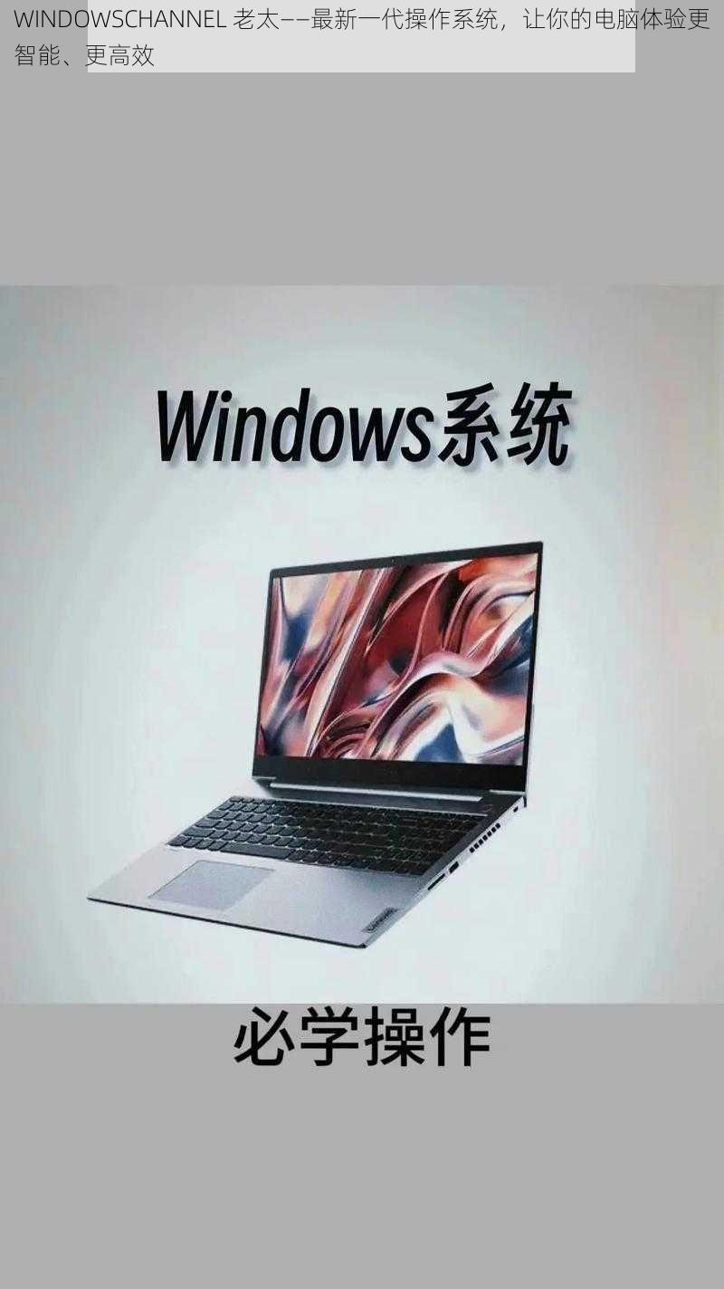 WINDOWSCHANNEL 老太——最新一代操作系统，让你的电脑体验更智能、更高效