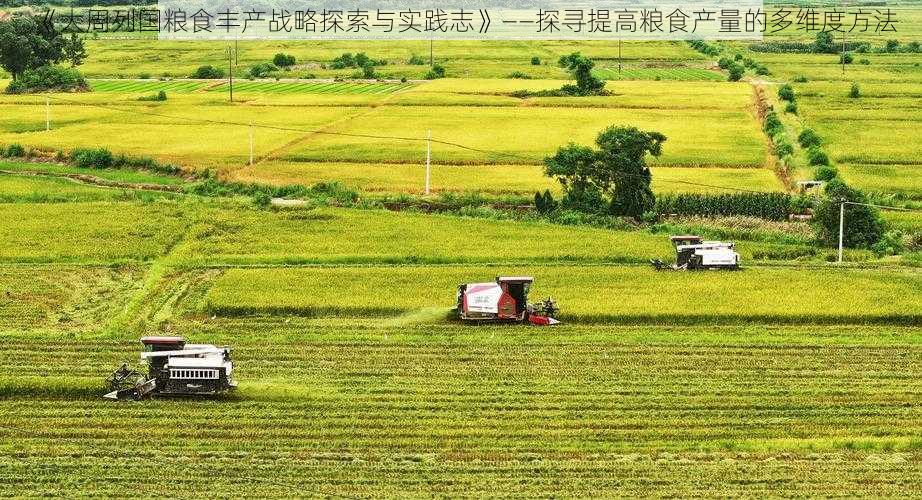 《大周列国粮食丰产战略探索与实践志》——探寻提高粮食产量的多维度方法