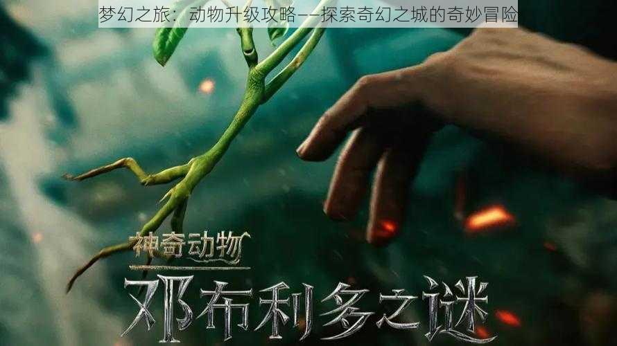 梦幻之旅：动物升级攻略——探索奇幻之城的奇妙冒险