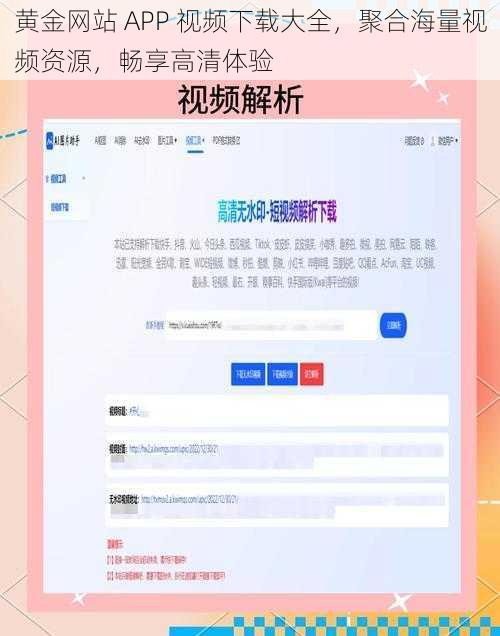 黄金网站 APP 视频下载大全，聚合海量视频资源，畅享高清体验