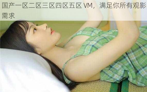 国产一区二区三区四区五区 VM，满足你所有观影需求