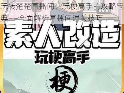 玩转楚楚直播间：玩梗高手的攻略宝典——全面解析直播间通关技巧