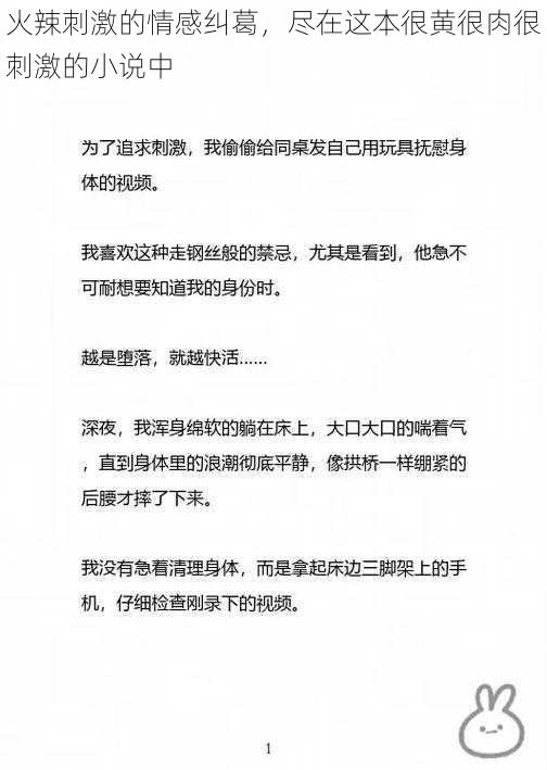 火辣刺激的情感纠葛，尽在这本很黄很肉很刺激的小说中