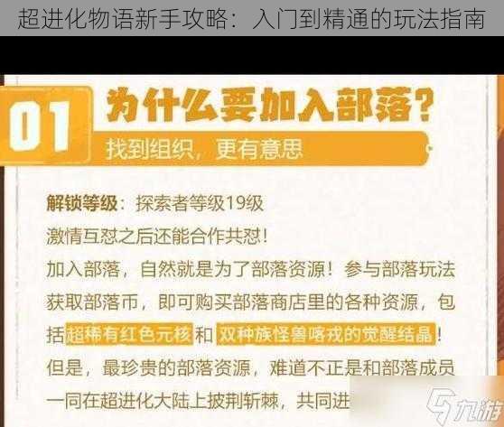 超进化物语新手攻略：入门到精通的玩法指南