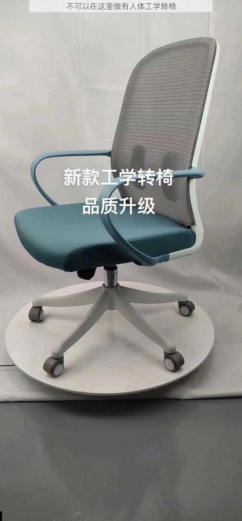 不可以在这里做有人体工学转椅