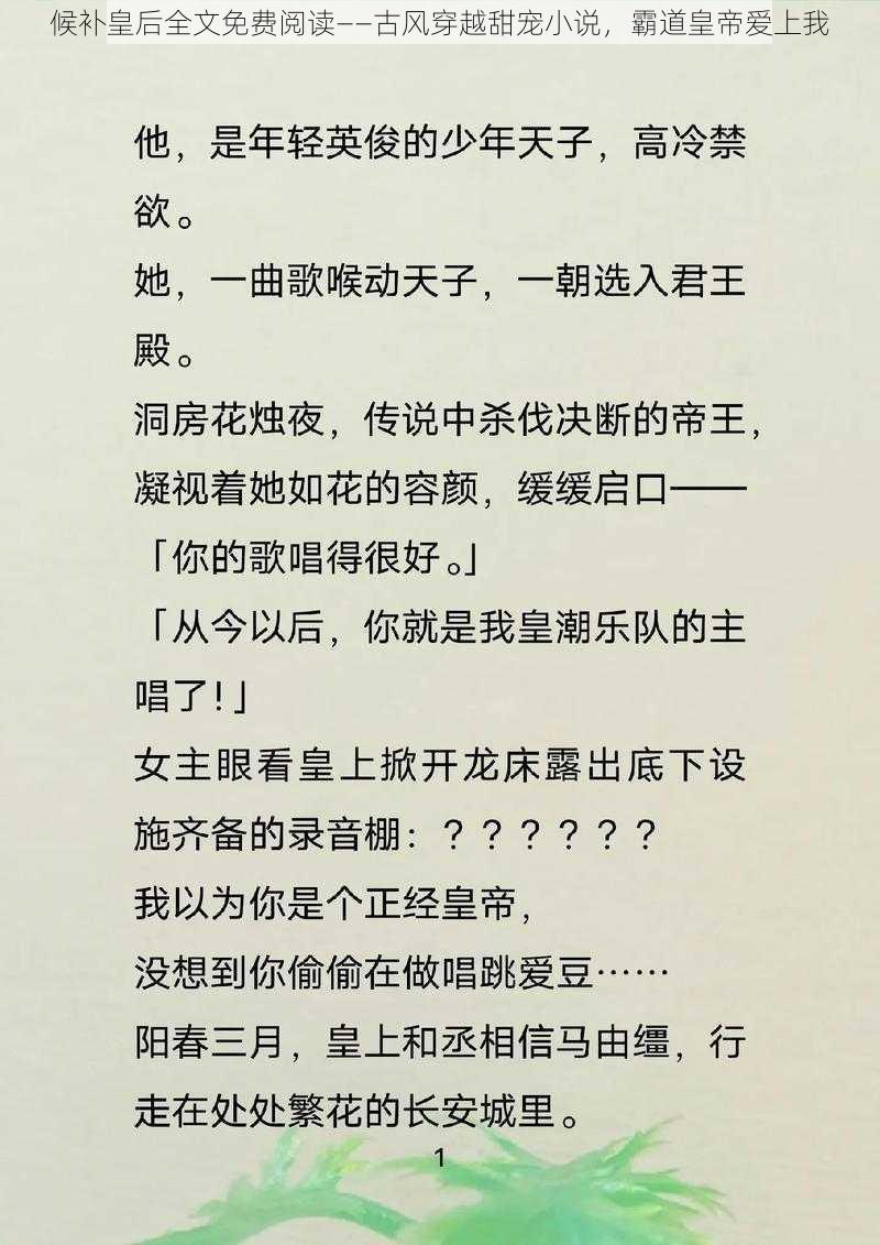 候补皇后全文免费阅读——古风穿越甜宠小说，霸道皇帝爱上我