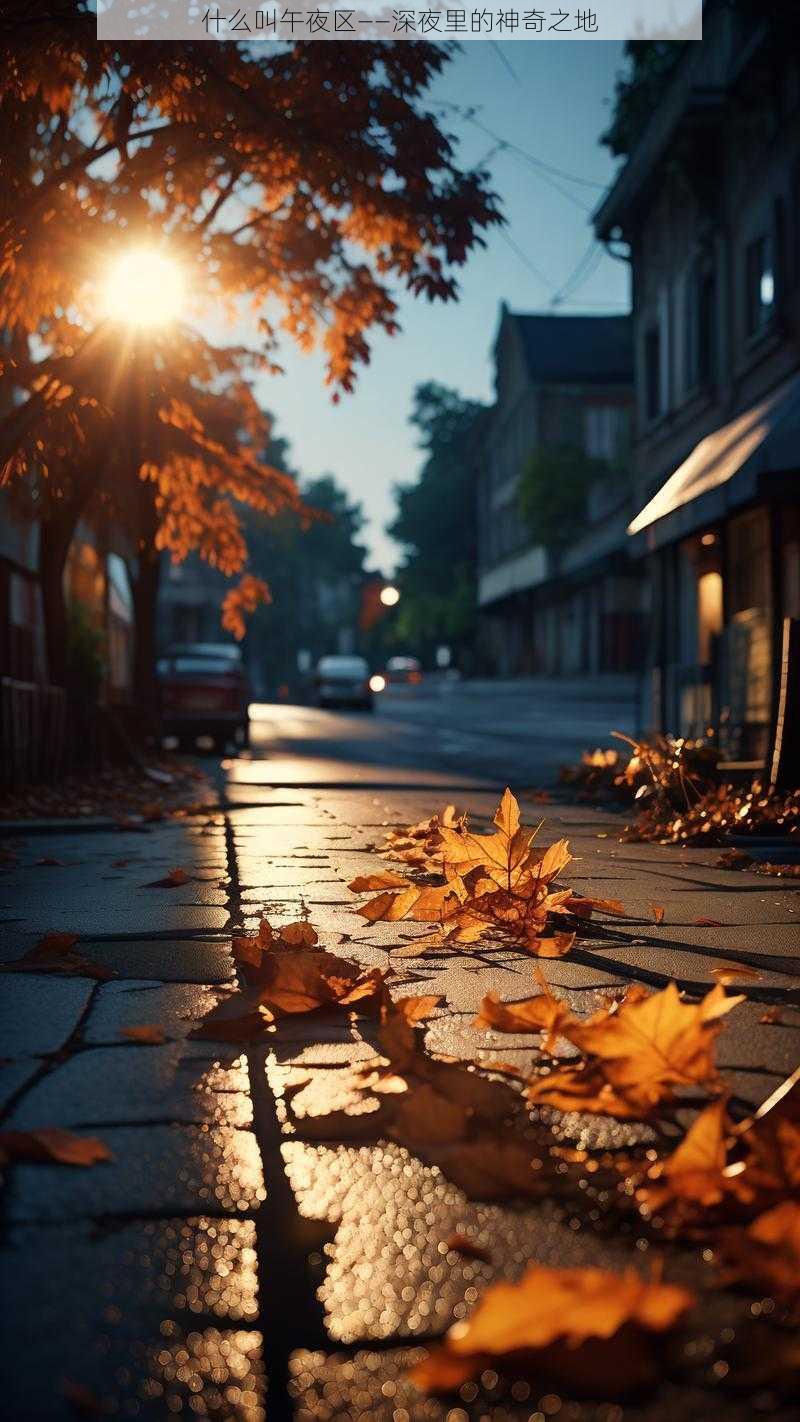 什么叫午夜区——深夜里的神奇之地