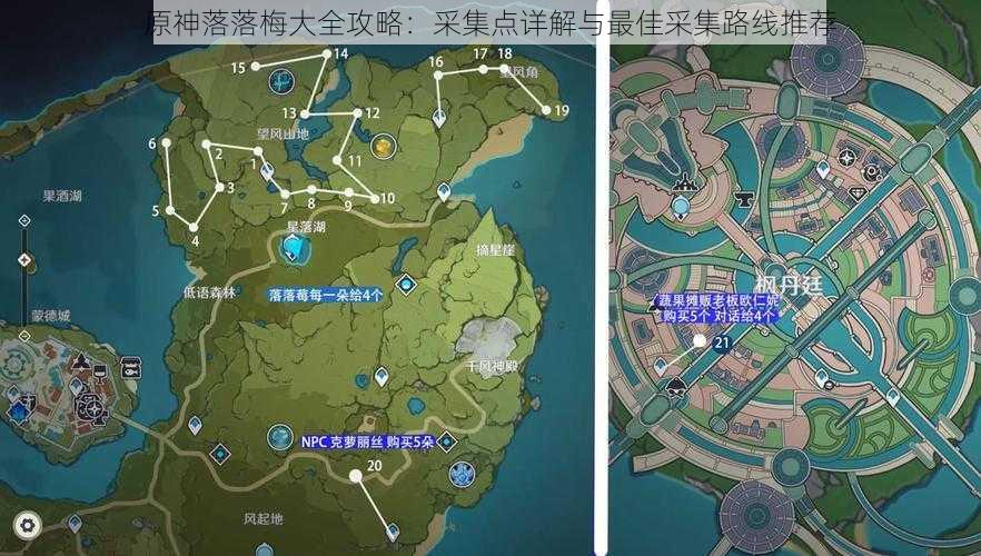 原神落落梅大全攻略：采集点详解与最佳采集路线推荐