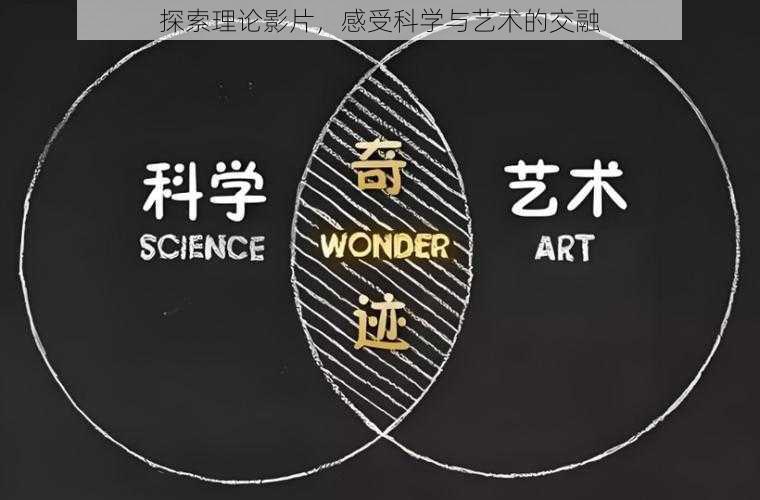 探索理论影片，感受科学与艺术的交融