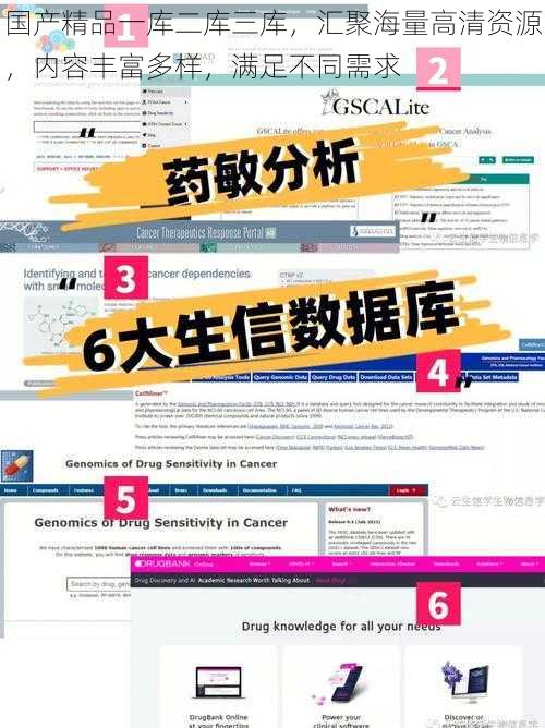 国产精品一库二库三库，汇聚海量高清资源，内容丰富多样，满足不同需求