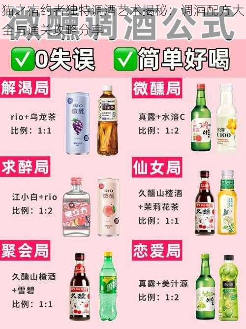 猫之宿约者独特调酒艺术揭秘：调酒配方大全与通关攻略分享