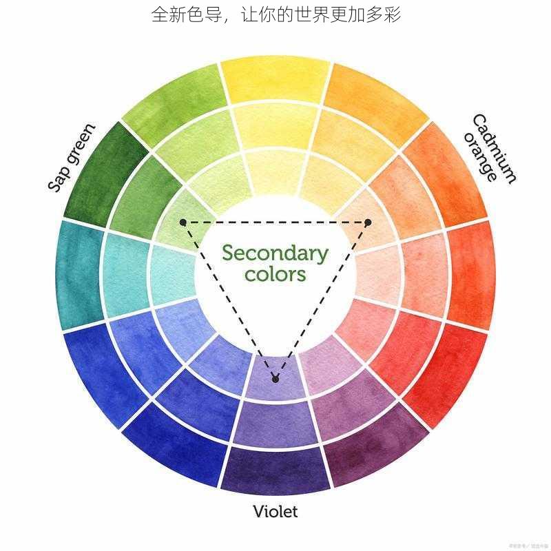 全新色导，让你的世界更加多彩