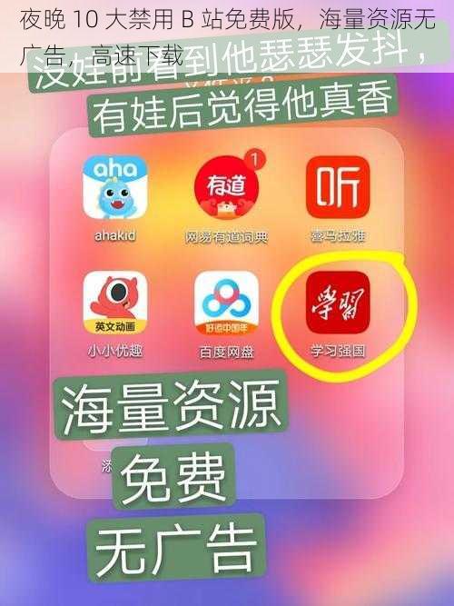 夜晚 10 大禁用 B 站免费版，海量资源无广告，高速下载