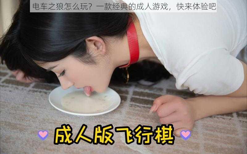 电车之狼怎么玩？一款经典的成人游戏，快来体验吧